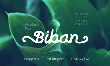 Biban Handwritten Script font