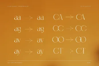 Coefficient font