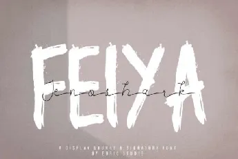 Jenoshark Feiya Duo font