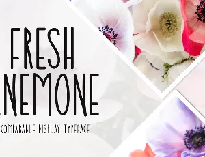 Fresh Anemone font