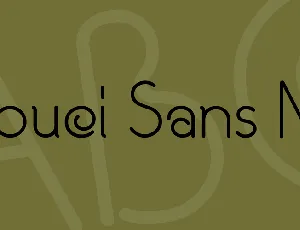 Souci Sans NF font