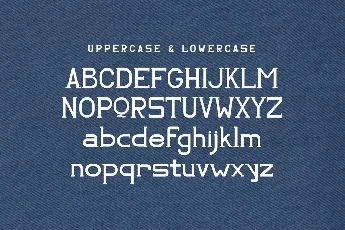 La Revis font