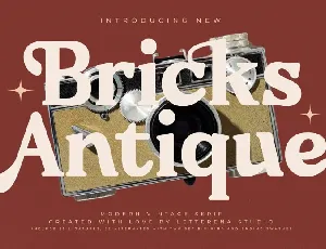 Bricks Antique font