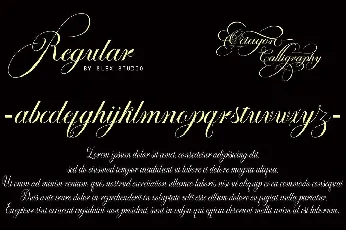 Octagon Calligraphy font