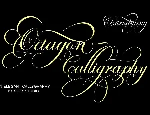Octagon Calligraphy font