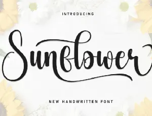 Sunflower Script Typeface font