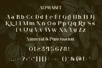 Quagi font