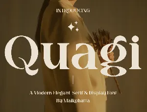 Quagi font