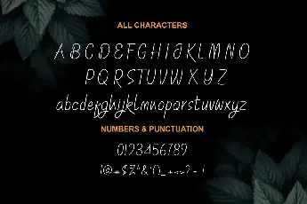 The Beauty font