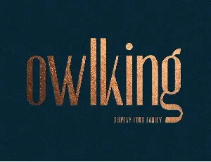 OWLKING font