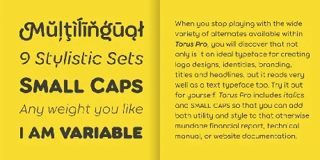 Torus Pro font