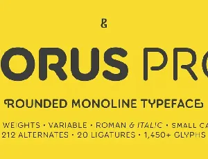 Torus Pro font