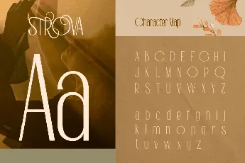 Strova Demo font