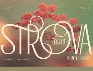 Strova Demo font