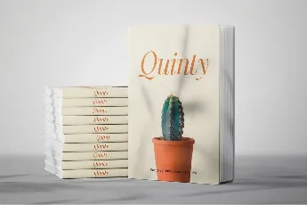 Quinty Demo font