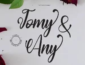 Tomy Any font