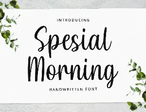 Special Morning Demo font