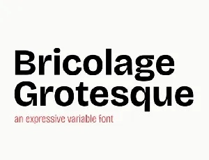 Bricolage Grotesque Family font