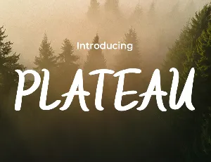 PLATEAU font