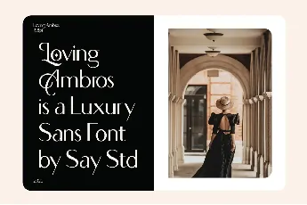 Loving Ambros Demo font