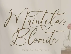 Maintelas Blomite font