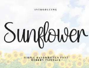 Sunflower Script font