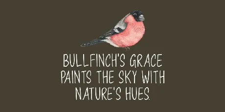 Majestic Bullfinch font