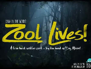 Zool Lives Script font