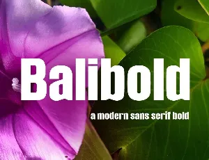 Balibold font