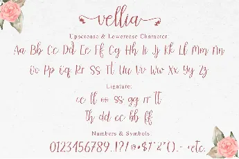 vellia - Personal Use font