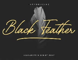 Black Feather font