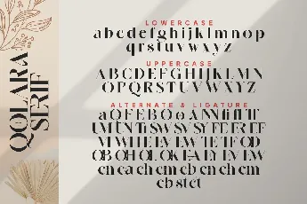 Qolara Serif font