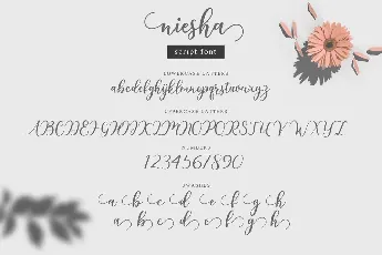 Niesha Modern Calligraphy Script font