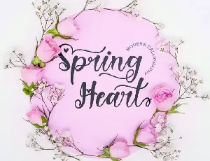 Spring Heart Calligraphy font