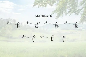 Natural Script font