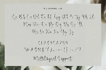 Haisley Garden font