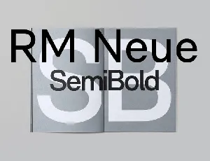 RM Neue font