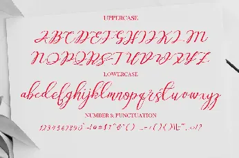 Ameston font