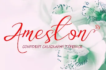 Ameston font