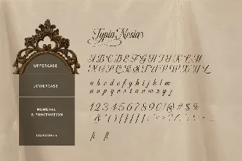 Fairyfiesta font