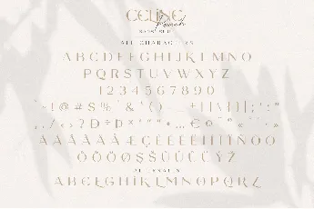 Celine Peach font