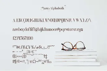 Artina font