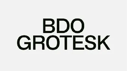 BDO Grotesk Family font