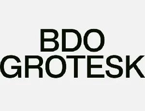 BDO Grotesk Family font