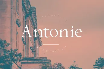 Antonie font