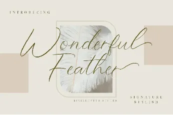 Wonderful Feather font