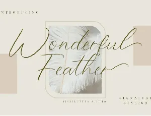 Wonderful Feather font