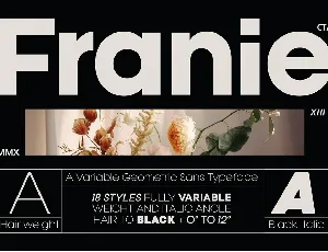 Franie font