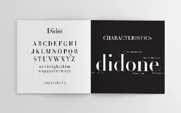 HTF Didot Family font