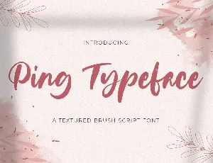 Ping Typeface font